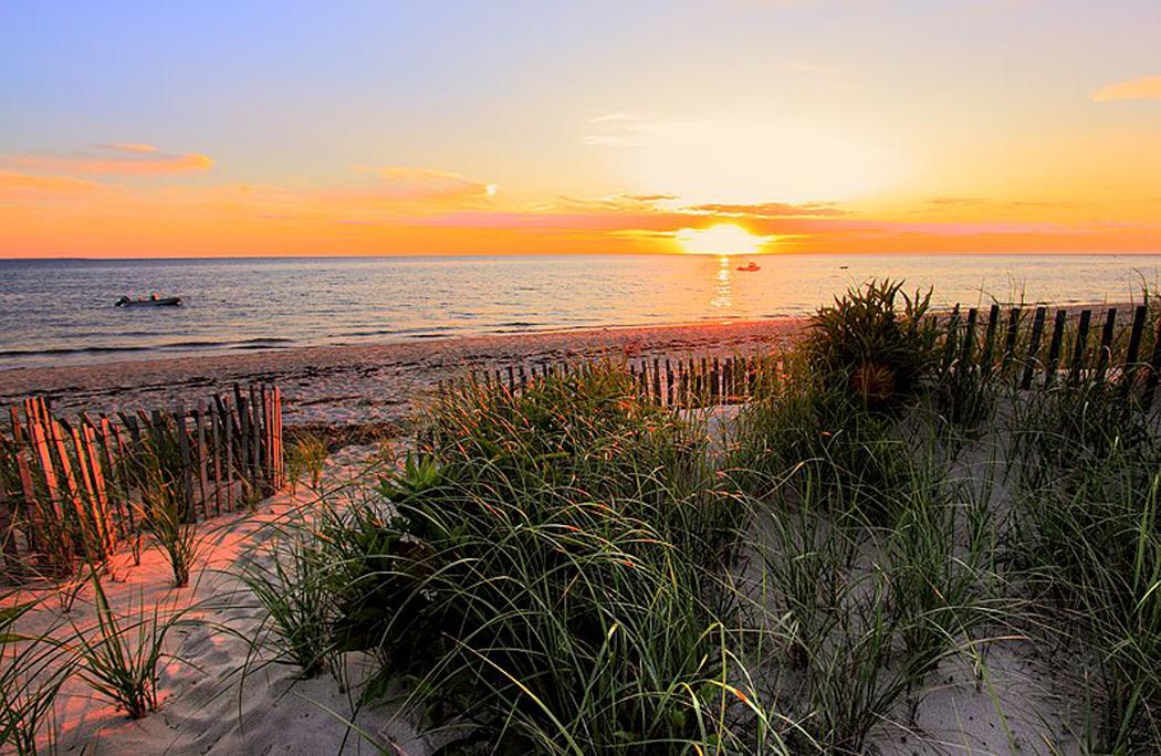 Cape Cod